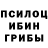 Псилоцибиновые грибы прущие грибы Alla Babashkina