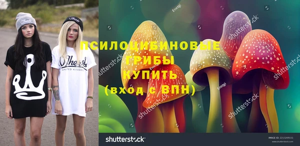 прущая мука Вязники