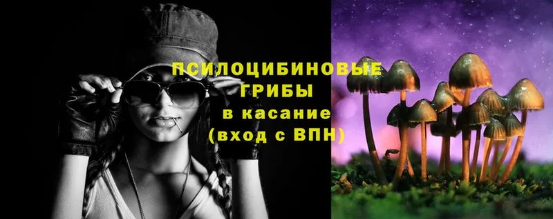 Галлюциногенные грибы Magic Shrooms  Ясногорск 